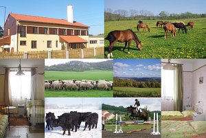 Ekofarma Natural Agro [Збільшити - нове вікно]
