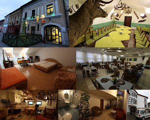 Пансіон a reštaurácia U Jeleňa [Збільшити - нове вікно]