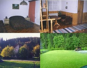 Розміщення у сім