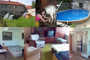 Ekologická farma Hvozd - chov ovcí a koz [Збільшити - нове вікно]