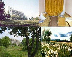 Турбаза Нарціс [Збільшити - нове вікно]