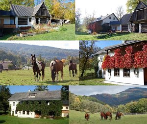 Ranch M [Збільшити - нове вікно]