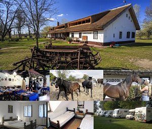 Ферма Somodi Tanya [Збільшити - нове вікно]