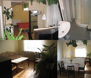 Розміщення у сім