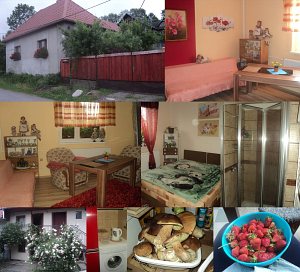 Розміщення у сім