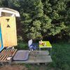 Maringotka Borová šiška, Vyškovec - Vlčí [Збільшити - нове вікно]
