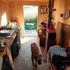 Maringotka Borová šiška, Vyškovec - Vlčí [Збільшити - нове вікно]